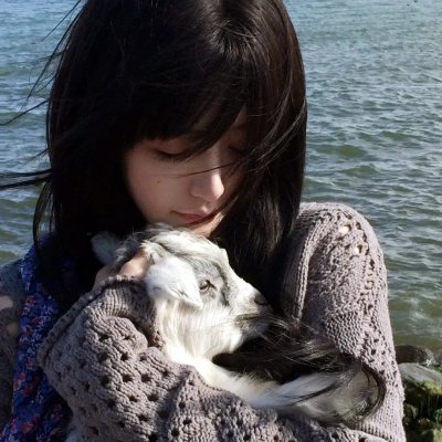 春潮烂漫海棠红