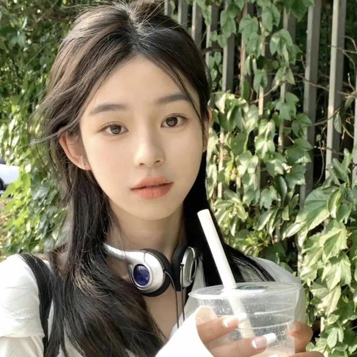 少年林肯