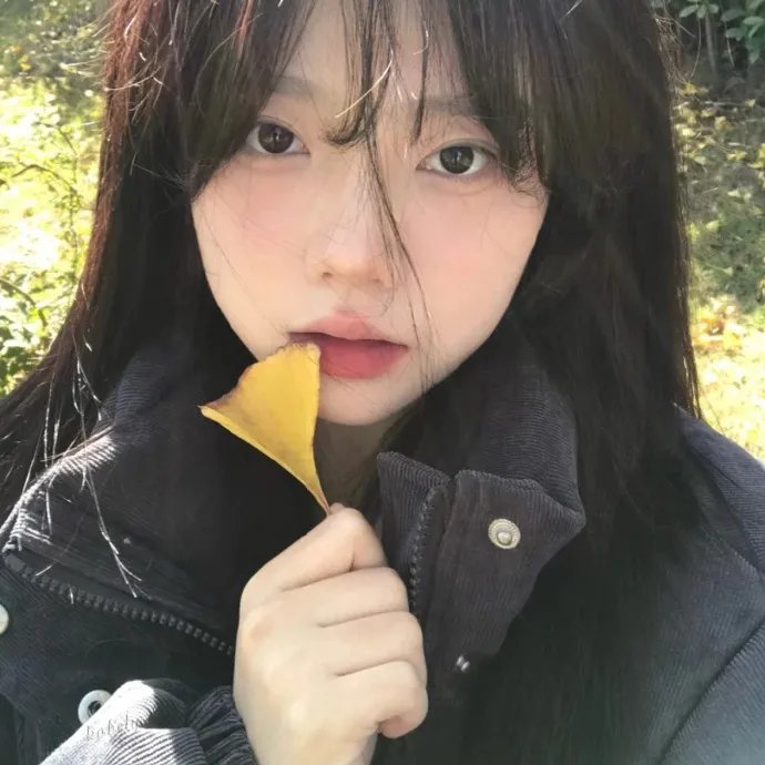 鳄鱼莱莱